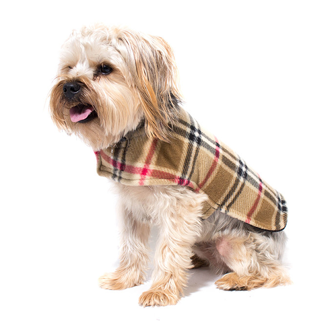 Fleece Dog Coat – Made in Hope Valley, RI by Creative Works; various patterns starting at $14.99 at Benny & Jack

Your source for all things four-legged and furry! Food and treats, toys, collars and leashes, accessories for pets, humans and home. Shop in-store and online.

Benny and Jack
237 Robinson Street, Wakefield
401-360-2258 bennyandjack.com