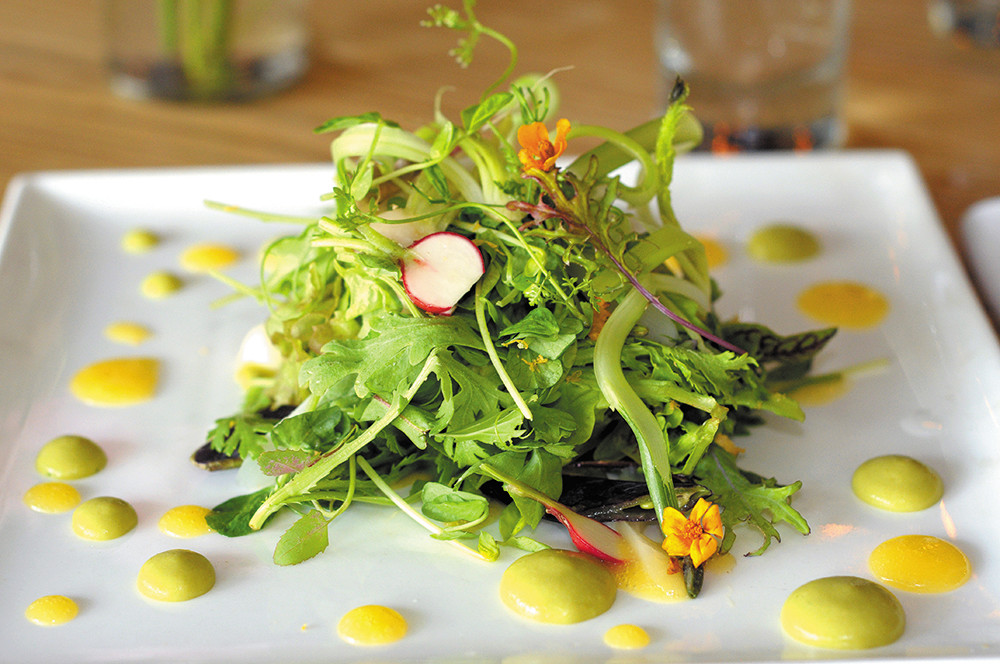 Summer salad of baby greens and vegetables