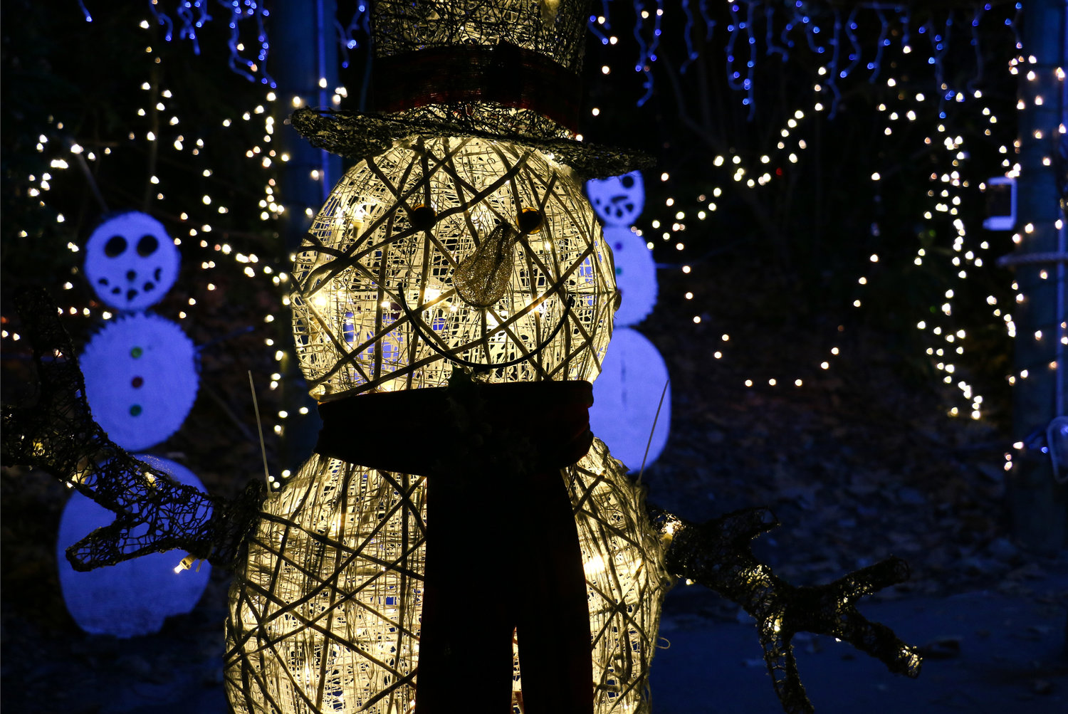 Holiday Lights Spectacular at Roger Williams Park Zoo