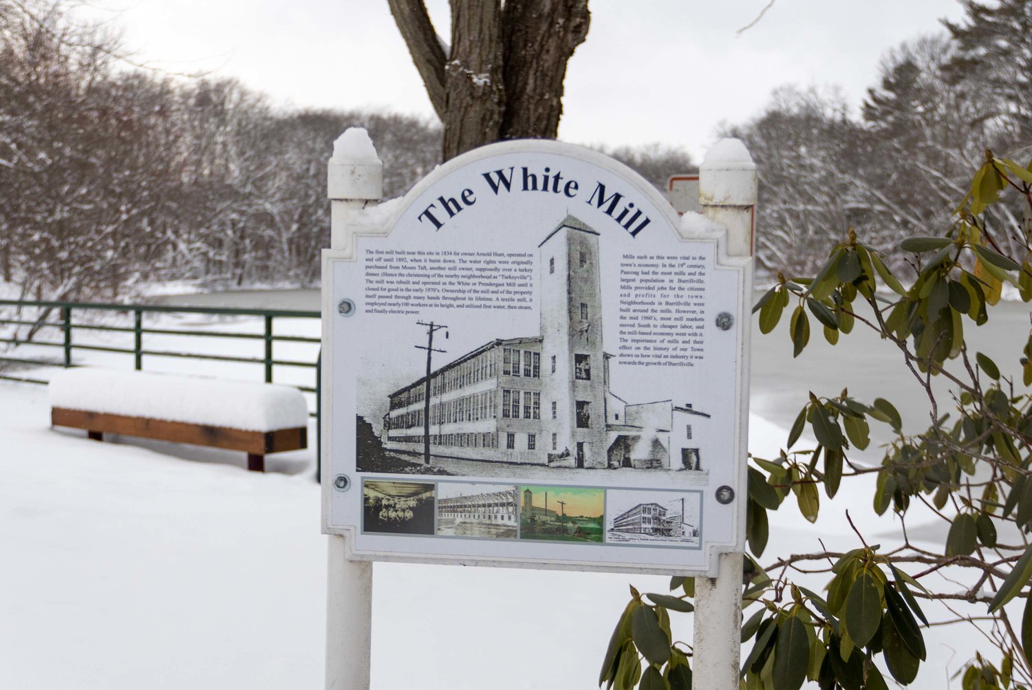 White Mill Park