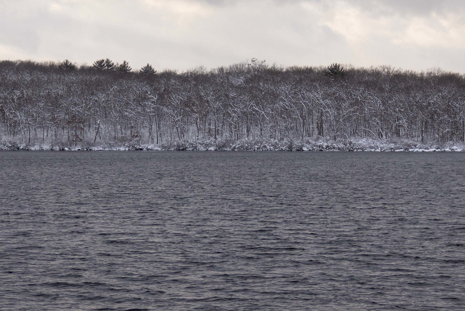 A quiet winter moment at Wallum Lake
