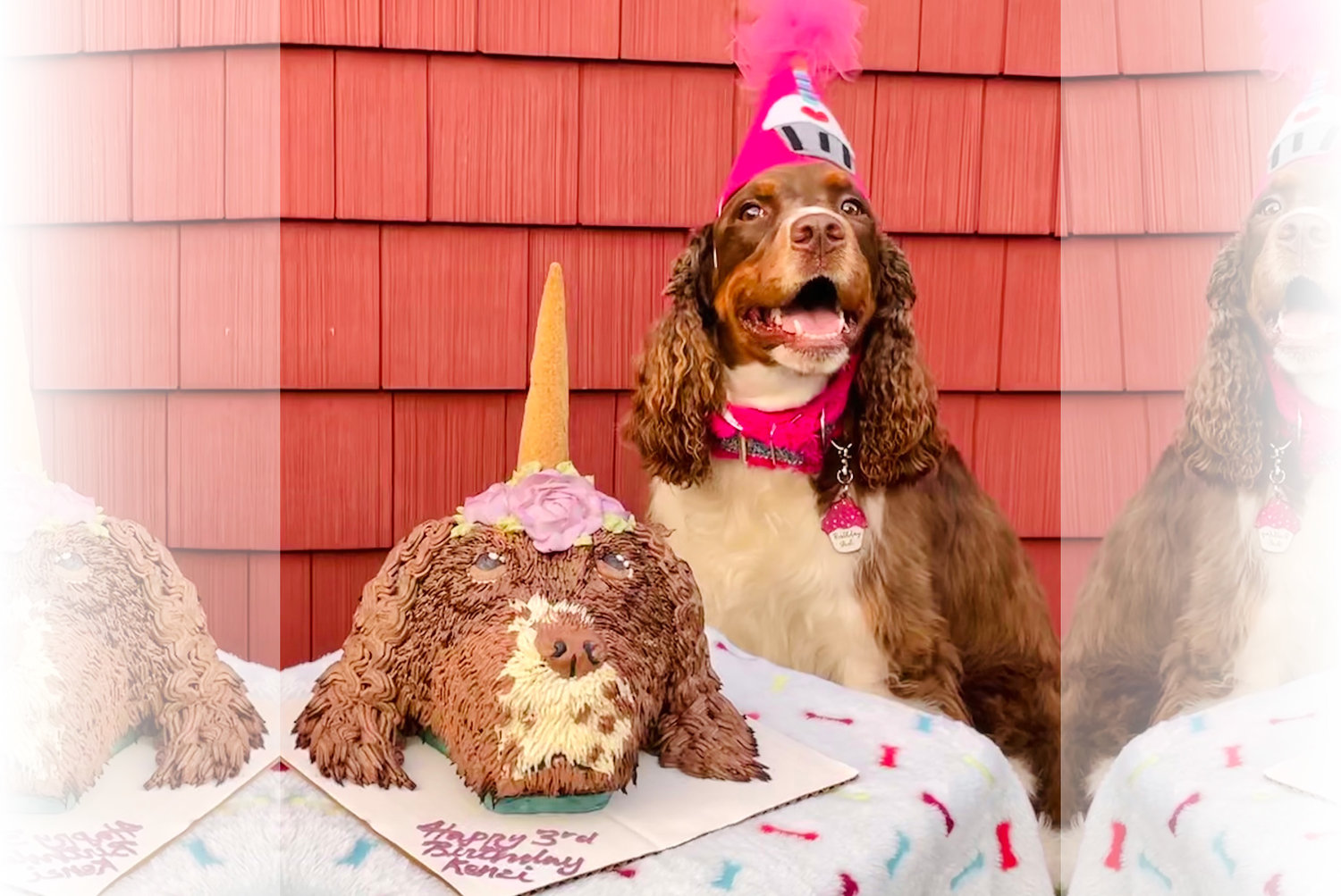 This pooch’s birthday celebration isn’t complete without a look-alike cake