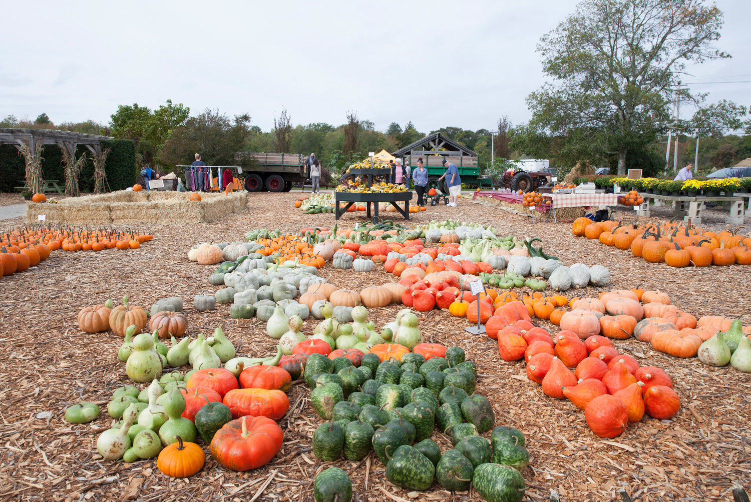 The Farmer’s Daughter hosts the Fall Harvest Fest all season