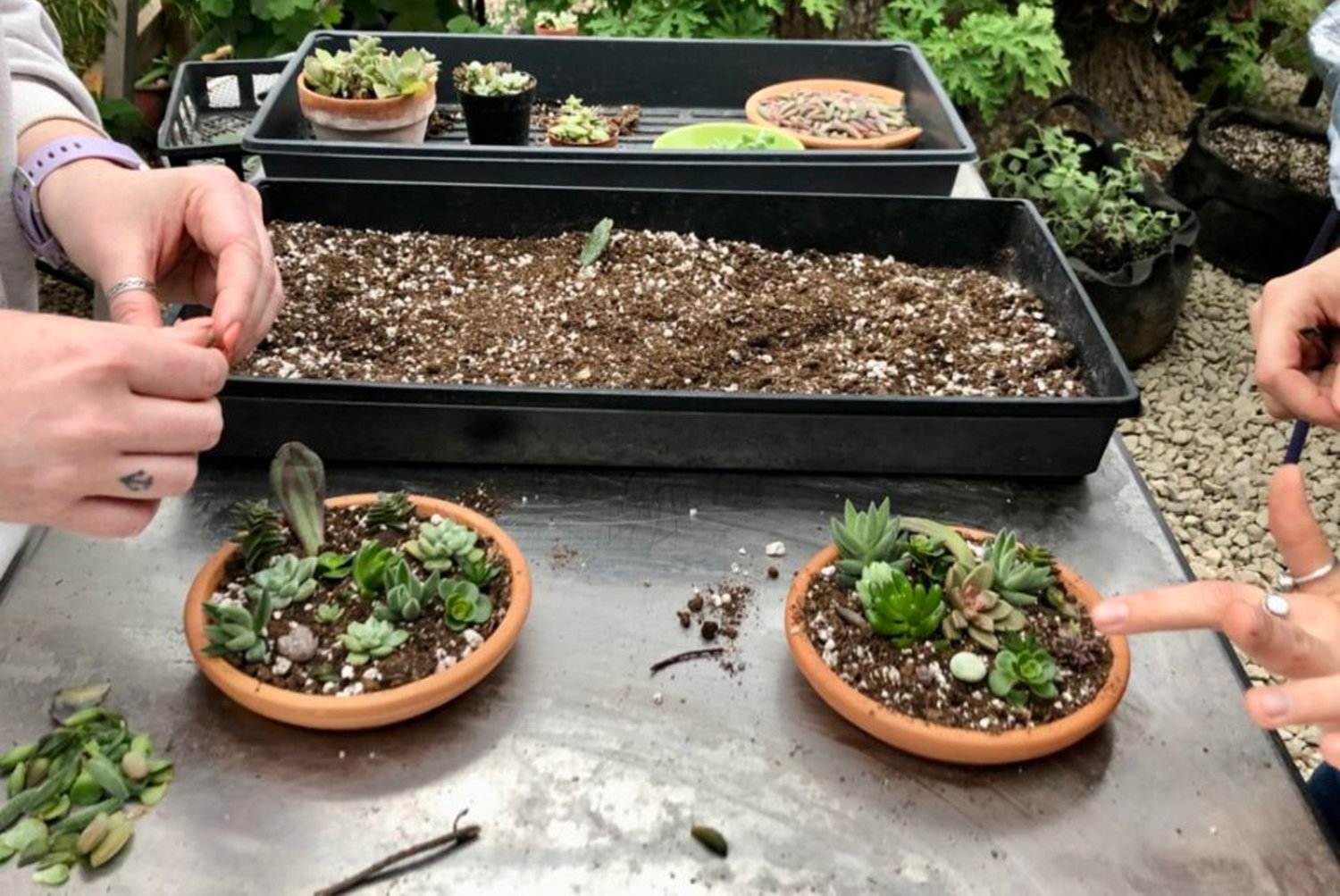 Fairy garden workshops are among the farm’s nature-focused programming