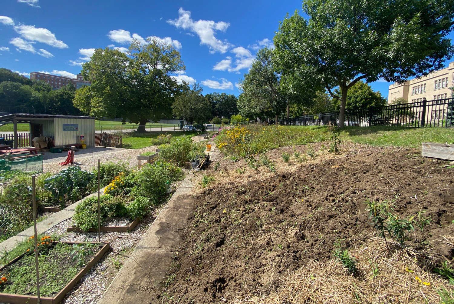 In partnership with the URI Master Gardener Program, Davis Park community gardeners are developing a meadow of native plants at the intersection of Chalkstone Avenue and Oakland Avenue in Providence