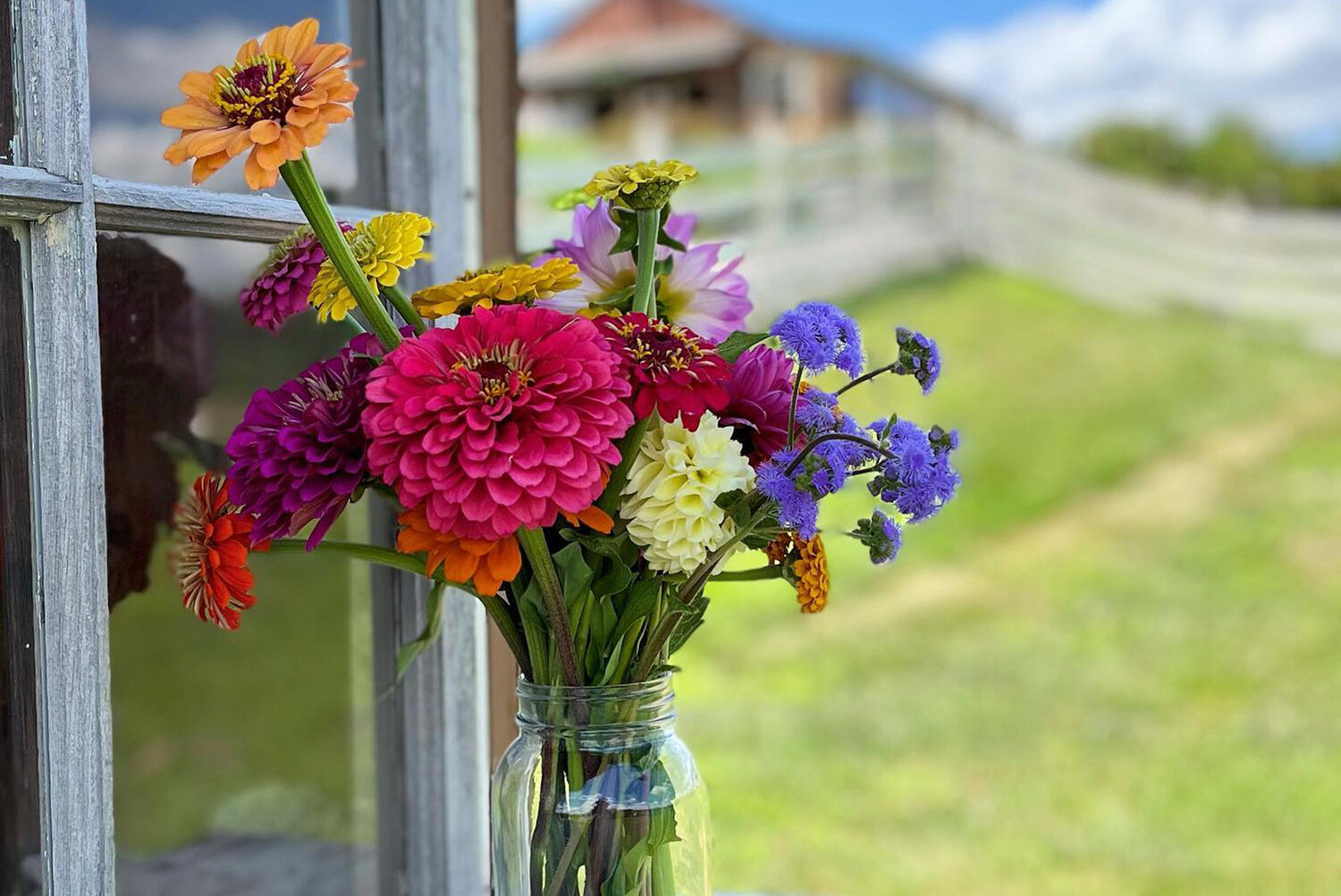 Pick-your-own bouquet at Dame Farm & Orchards in Johnston