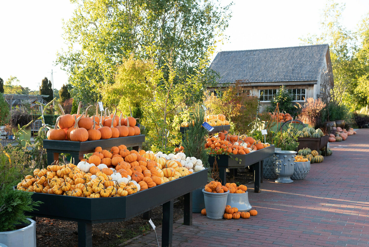 Fall arrives at The Farmer's Daughter in Wakefield