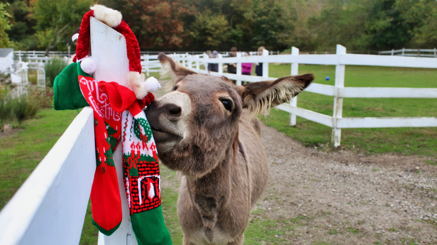 Stroll the grounds and meet the critters at West Place Animal Sanctuary for a holiday open house